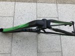 Ibis8.JPG