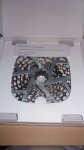 IMG-20170904-WA0002.jpg