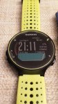 20170904_211517_resized.jpg