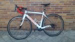 wilier 4.jpg