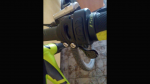 Screenshot_2017-09-08-20-58-39.png
