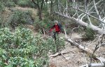 IMG_20170909_122906.jpg