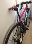 ORBEA 6.jpg