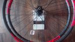 IMG_20170910_112648.jpg
