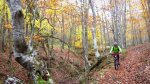 IMG_0428.JPG