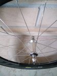 IMG_20170913_115343.jpg