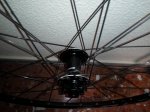 IMG_20170902_115146.jpg