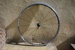 DSC01422.JPG