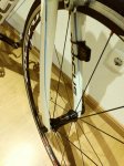 IMG-20170916-WA0012.jpg