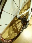 IMG-20170916-WA0011.jpg