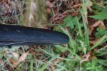 DSC01916.JPG
