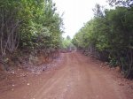 S4010021.JPG