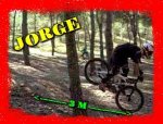 stoppie.jpg