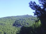 PIC_0018.jpg