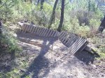 PIC_0021.jpg
