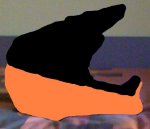 negre-tronja.JPG