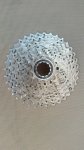 IMG_20170901_142908.jpg