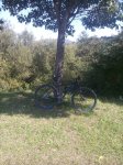 IMG_20170924_120123.jpg