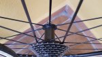 20170922_102927.jpg
