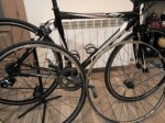 IMG-20170922-WA0016.jpg