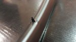 IMG-20170929-WA0008.jpg