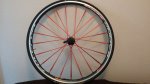 IMG-20170921-WA0001.jpg