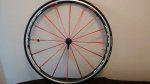 IMG-20170921-WA0000.jpg