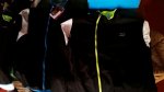 IMG-20170922-WA0058.jpg