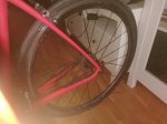 IMG_20171001_120332.jpg