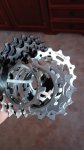 IMG_20171005_111501.jpg