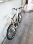 IMG-20171006-WA0006.jpg