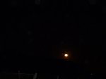 DSC01465.JPG