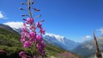 IMG_4392 copia.jpg
