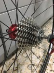 IMG-20171010-WA0015.jpg