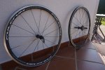 DSC02709.JPG