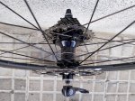 Rueda detalle buje trasero.jpg
