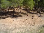 DSC00842-II.JPG