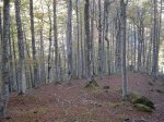DSC06582 (Small).JPG