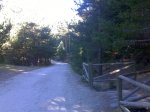 04112007490.jpg