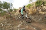 DH Estepona 480.jpg