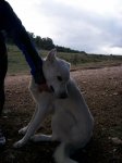 1100_0797.JPG