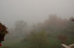 DSC_08232874.jpg