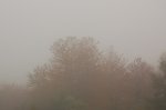 DSC_08242875.jpg