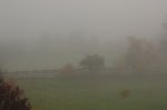 DSC_08252876.jpg