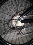 Rodamiento trasero XTR.JPG