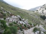 Img_0561.jpg