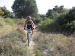 IMG_1193.jpg