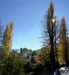 P1020230-31 (Large).JPG