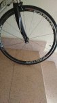 IMG-20171016-WA0028.jpg