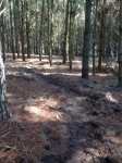 IMG-20171012-WA0017.jpg